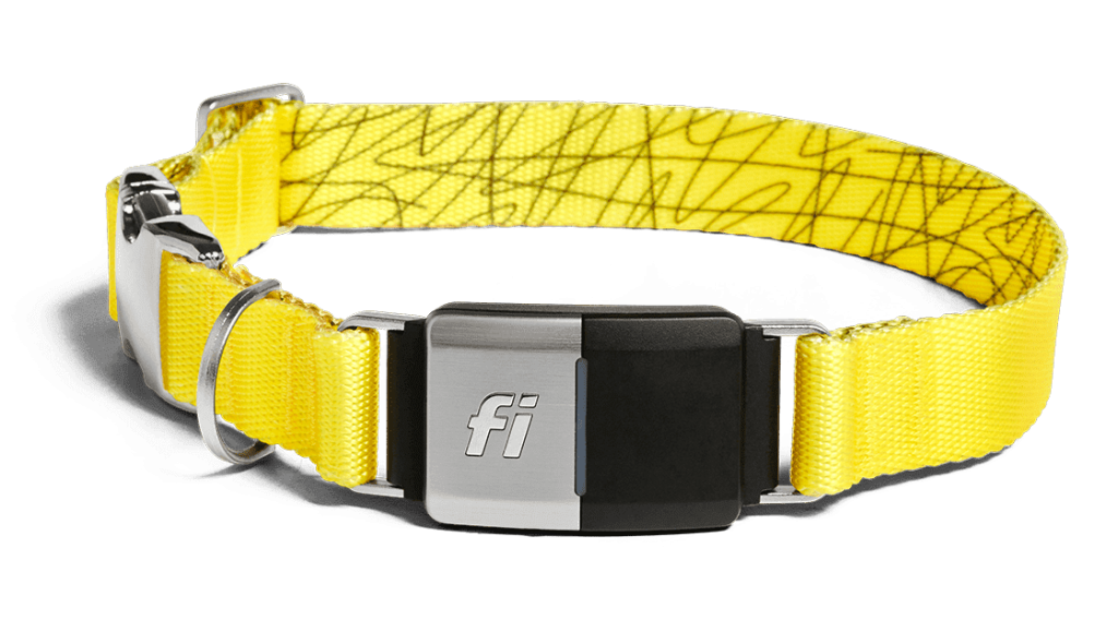 Fi Smart GPS Dog Collar